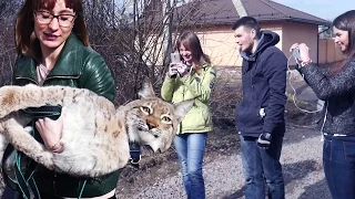 РЕАКЦИЯ ПРОХОЖИХ НА РЫСЬ. Прогулка с большой кошкой Ханной / THE REACTION OF PASSERS-BY TO A LYNX