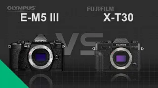 Olympus OM-D E-M5 Mark III vs Fujifilm X-T30