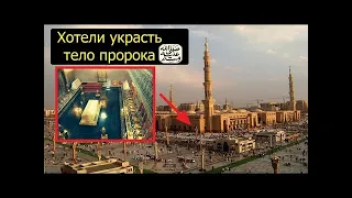 15 фактов о Пророческой мечети в Медине