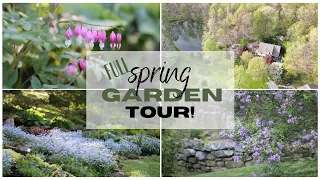 Spring Garden Tour 2022 🌿 ~ Full Garden Tour ~ Flower Gardens ~ Spring Flowerbeds