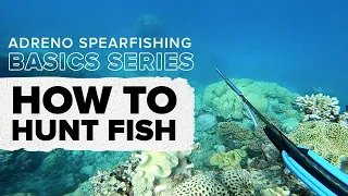 How To Hunt Fish | ADRENO