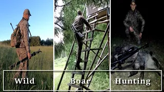 Wild Boar Hunting experience!!