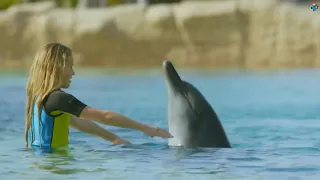 Дельфины   Веселые детские песни
