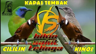 MASTERAN MURAI BATU ll FULL TEMBAKAN CILILIN VS KINOI VS KAPAS TEMBAK VERSI JEDA