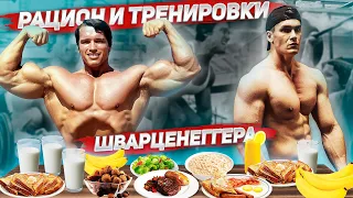 РАЦИОН ПИТАНИЯ И ТРЕНИРОВКИ АРНОЛЬДА ШВАРЦЕНЕГГЕРА