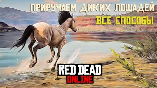 Red Dead Online ПРИРУЧАЕМ диких лошадей 🐎 Catching a wild horse