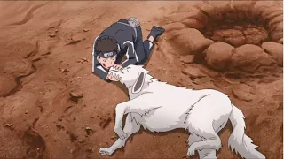 You may not know CPR for dogs? What did Kiba do to save Akamaru's life? Team Kurenai vs Team Kazami