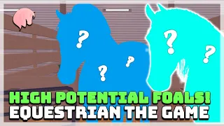 High Potential Foals! | Equestrian The Game | BREEDING!