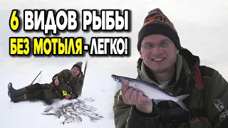 6 разных видов рыбы со льда без мотыля! Дядя Фёдор ловит на "гирлянду".