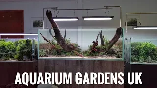 Aquarium Gardens Gallery before and after workshop