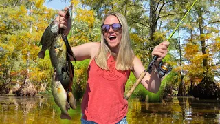 Chasing Down a $1,000 Dollar Fish in the SWAMP!! --CATCH & COOK! (Lake Update)