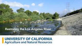 Restoring the Los Angeles River for Ecosystems and People