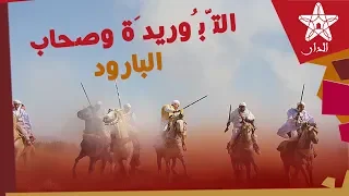 احتفالية بالخيل والتبوريدة في وجدة