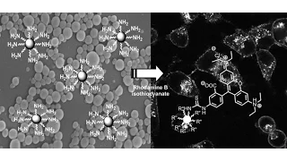 Global Cellulose Nanoparticles Market  2015 Outlook to 2022 by Market Research Store