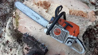 STIHL 400 C vs Fichte