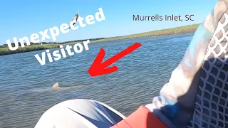 How to Target Summer Flounder Fishing in Murrells Inlet, SC from a Kayak
