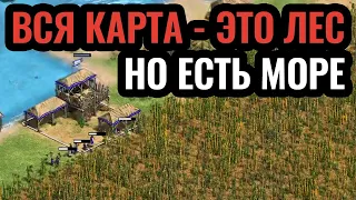 СВЯТОЙ ЛЕС и гонка за реликвией: эпичный бред на Piligrim Nothing в Age of Empires 2