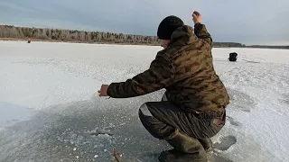 первый лёд ,рыбалка,сезон  2021-2022 матросы в каждой лунке