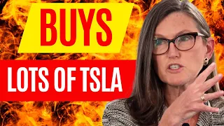 Cathie Wood JUST bought 10x more of Tesla stock than normal!