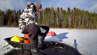 Окунь на безмотылку. Опасный первый лёд.