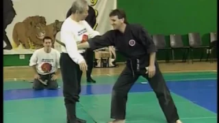 Bujinkan Ninpo: Masaaki Hatsumi Protection against knife