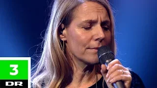 Alberte - Lyse nætter (LIVE) | Elsker dig for evigt | DR3