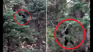 Bigfoot caught on tape!!!