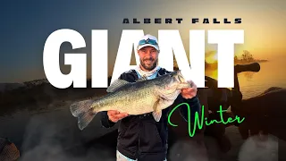 Smashing GIANT BASS during WINTER at Albert Falls Dam, South Africa.