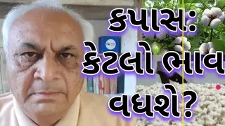 કપાસ બજાર; અપેક્ષિત ભાવ મળવા તરફની વાસ્તવિકતાઓ: cotton market: genuine stream: