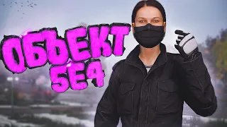 Я ВАЖНЫЙ ОБЪЕКТ | DayZ Stalker RP