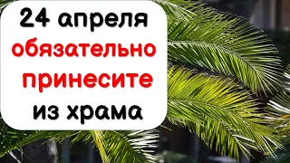 24 апреля обязательно принесите из храма