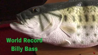 ‘World Record Billy Bass’ Jumbo Sized Singing Fish