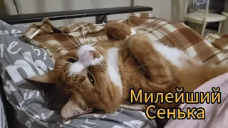 СЕНЬКА! ЭТО ПРЕСТУПЛЕНИЕ!