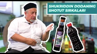 SHOTUT SIRKASI — AJVA XURMO MARKET | QANDLI DIABETLAR UCHUN FOYDA | OVQAT XAZM QILSIH