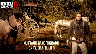 Como Conseguir El Mustang Bayo Tigrado En El Capitulo 2 Con Arthur