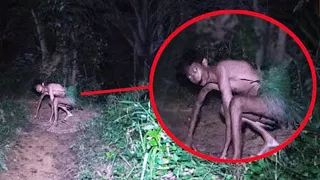 What They Captured In The Forest Has Left Scientists Speechless