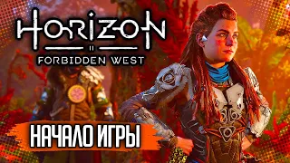 Horizon 2: Forbidden West | Запретный Запад - НАЧАЛО ИГРЫ НА PS5