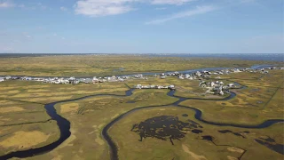 What makes a wetland a wetland?