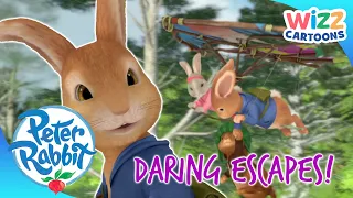 @OfficialPeterRabbit - Daring Escapes! | Cartoons for Kids | @WizzCartoons