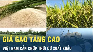 Giá gạo tăng cao, Việt Nam cần chớp thời cơ xuất khẩu | VOV