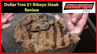 Dollar Tree $1 Rib Eye Steak Cook and Review | JKMCraveTV