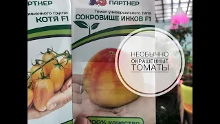 Томаты с необычной окраской.Дачные сезоны с Мариной Рыкалиной