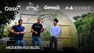 Modern Koi Blog #6189 - Makoto bei Mirko im Glashaus