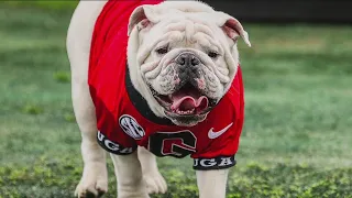 New opponents | Georgia's 2024 football schedule released