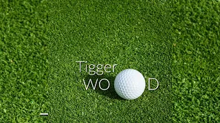 TIGGER WOOD | TIWA SAVAGE & ASAKE TYPE BEAT