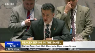 UN Security Council approves deployment of AU force in the Sahel region