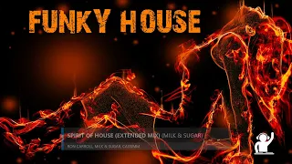 Funky House  summer