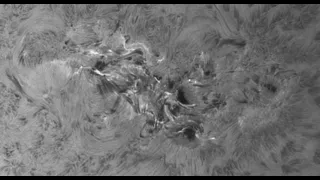 Active Sunspot H-alpha Timelapse