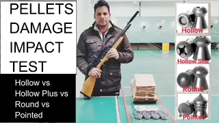 Pellets Damage Impact Test- Hollow vs Hollow Plus vs Round vs Pointed | Pellets Penetration Power