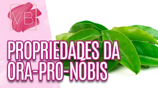 Ora-pro-nóbis: entenda as suas propriedades - Você Bonita (22/02/2023)